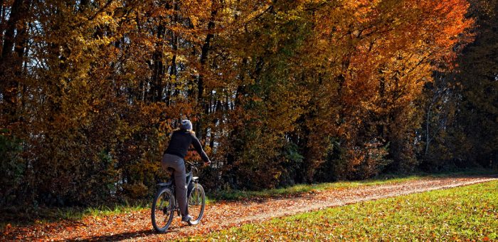 На велосипеде осенью