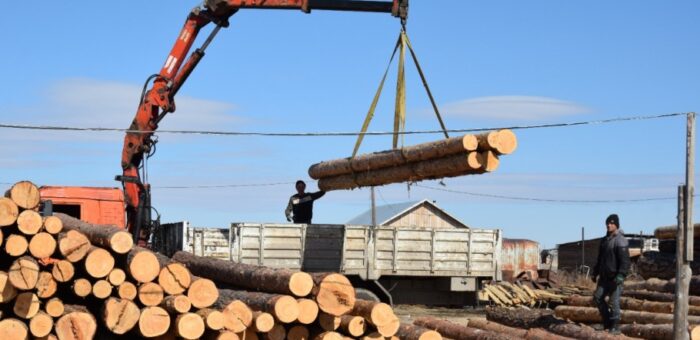 <strong>Материалы деревообрабатывающей промышленности на Прозоро.Продажи</strong>