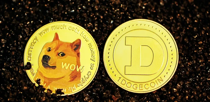 Путь Dogecoin к массовому признанию и использованию